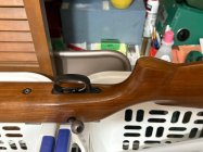 IMG_1029.jpeg