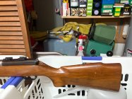 IMG_1022.jpeg