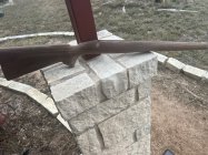 IMG_2530.jpeg