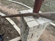 IMG_2532.jpeg