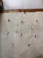IMG_7208.jpeg