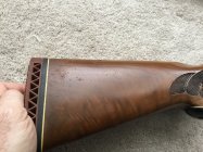 IMG_0107.jpeg