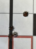IMG_0146.JPEG IMG_0146.JPEG