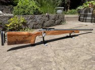 IMG_4235.jpeg