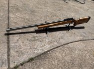 IMG_4237.jpeg