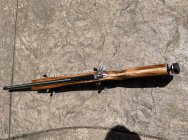 IMG_4236.jpeg