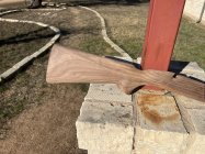 IMG_2608.jpeg