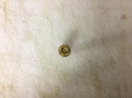 IMG_0411.jpeg