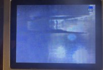 IMG_5860.jpeg IMG_5860.jpeg