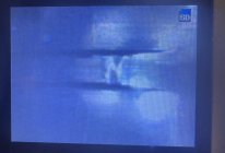 IMG_5861.jpeg IMG_5861.jpeg
