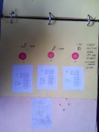 IMG_20210620_113135_9.jpg