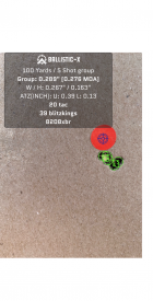 Ballistic-X-Export-2024-11-16 18:53:30.532763.png
