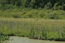 IMG_6939[1].jpg