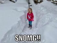 IMG_2848.jpeg