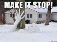 IMG_2847.jpeg