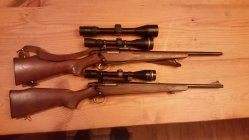 6MM and 222 Rem Model 600 R.jpg