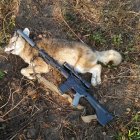 PSA AR with Coyote R.jpg