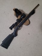 Ruger RAR R.jpg