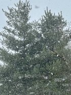 IMG_2898.jpeg