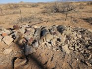 Coyote Pile.jpg