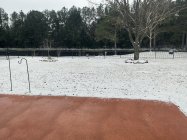 IMG_0382.jpeg