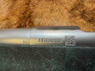 IMG_0255.jpeg