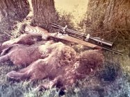 IMG_0120.jpeg