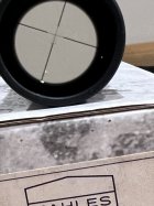 IMG_1256.jpeg