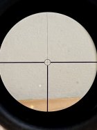 IMG_1262.jpeg