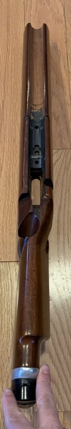 IMG_0477.jpeg