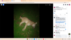Screenshot 2024-11-28 9.40.11 AM.png