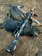 IMG_5932.jpeg