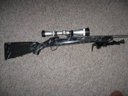 Sako L461 Leupold 4X12  sn-15265.JPG