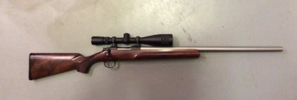 cooper var.JPG
