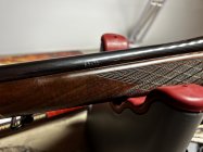 IMG_4669.jpeg