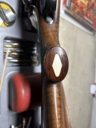 IMG_4676.jpeg