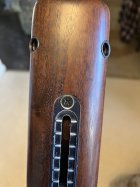 IMG_1243.jpeg