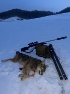 IMG_6928.jpeg