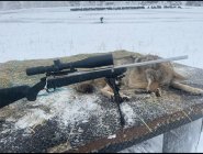 IMG_1769.jpeg