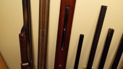 IMG_20250128_132934356.jpg