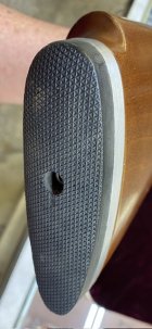 IMG_2635.jpeg