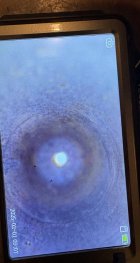 IMG_0223.jpeg
