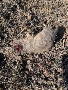 IMG_7211.jpeg