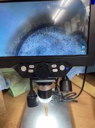 IMG_7849.jpeg