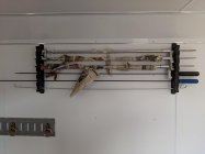 MVIMG_20190409_063923.jpg