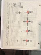 IMG_3769.jpeg
