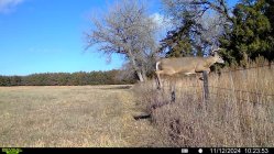 IMG_2643.jpeg