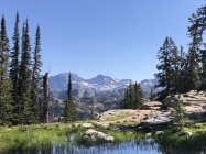 IMG_4558.jpeg