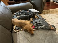 IMG_0469.jpeg