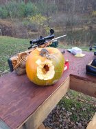 IMG_20201113_160316417.jpg